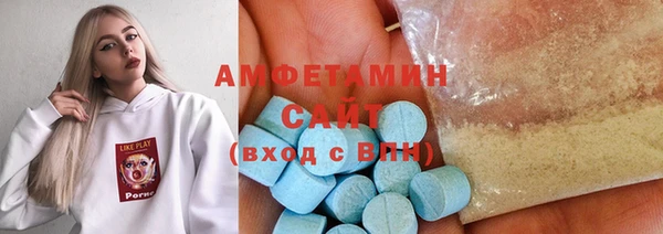 индика Абаза