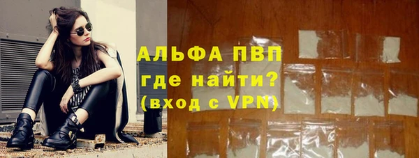 индика Абаза