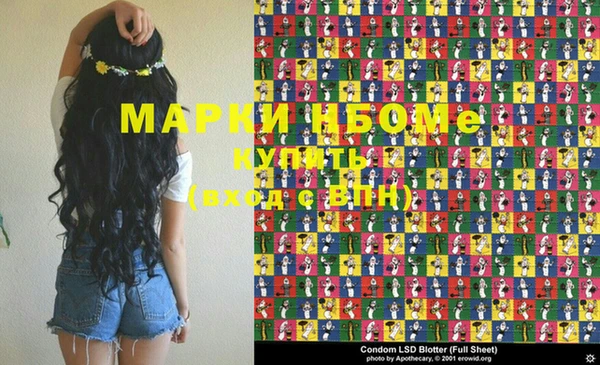 индика Абаза
