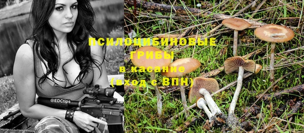 индика Абаза