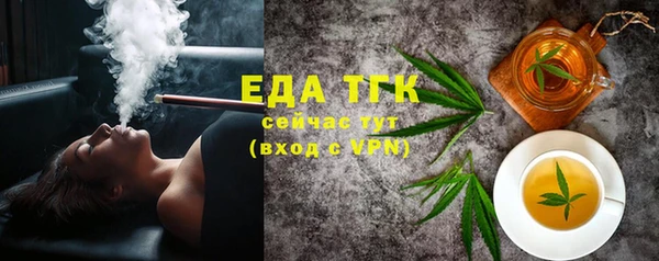 индика Абаза