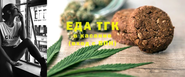 индика Абаза