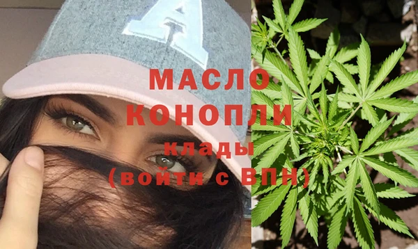 индика Абаза