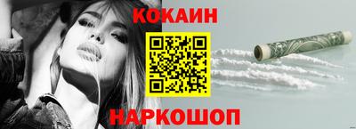 крисы Кулебаки