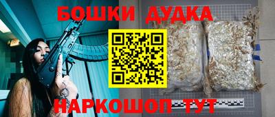крисы Кулебаки