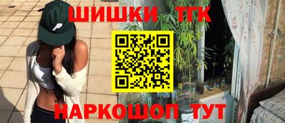 крисы Кулебаки