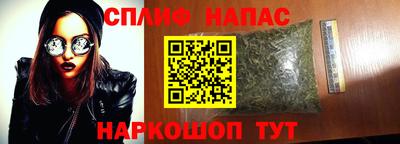 крисы Кулебаки