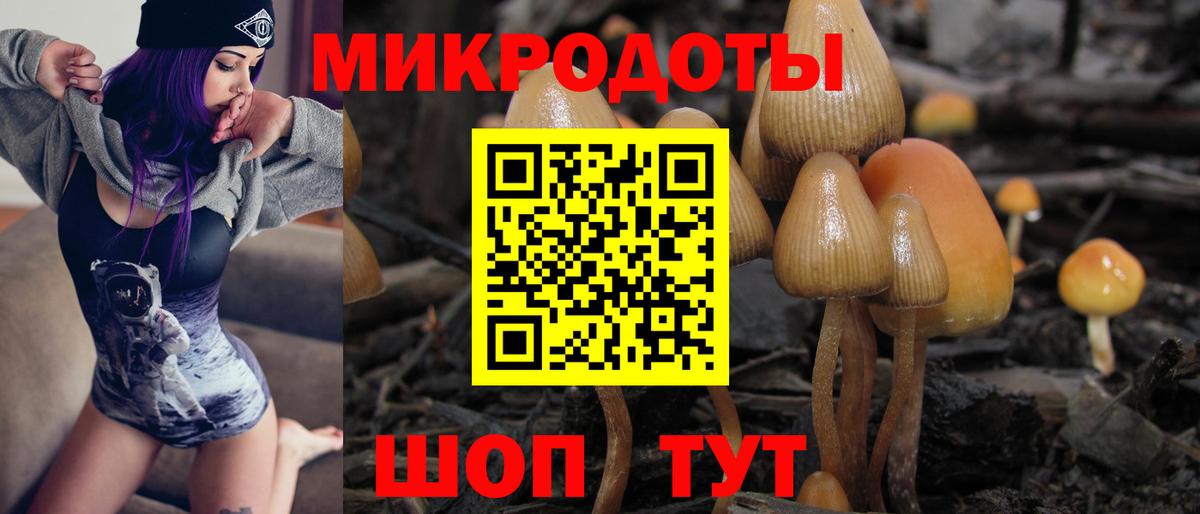 Псилоцибиновые грибы Psilocybine cubensis  Галлюциногенные грибы прущие грибы  Заволжье  Вход с VPN 