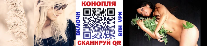 Конопля OG Kush Заволжье